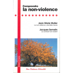 Comprendre la non-violence